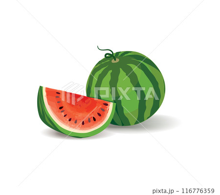 Watermelon pattern. Fruit juicy slice pieces seamless texture. Summer bright design 116776359