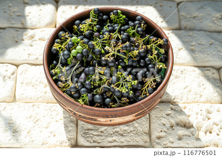 Black nightshade berries in a plate on table close-up. Nightshade in cooking. Healthy food. Harvest for baking Black nightshade berries in a plate on table close-up. Nightshade in cooking. Healthy food. Harvest for baking 116776501