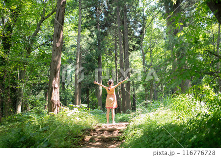 森の中で両手を広げる少女 116776728