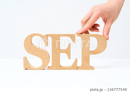「SEP」と並べられたアルファベットの木製ブロック 116777549