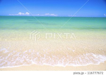 沖縄天然ビーチ百名ビーチ 116777672