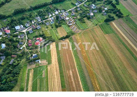 Aerial landscape view of village houses and distant green cultivated agricultural fields with growing crops on bright summer day Aerial landscape view of village houses and distant green cultivated agricultural fields with growing crops on bright summer day 116777719