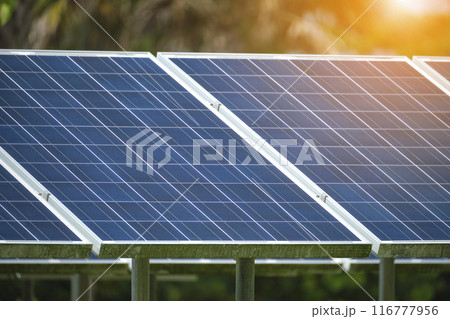 Solar photovoltaic panels mounted on stand-alone frame on backyard ground for generating of clean ecological electric energy. Concept of autonomous house 116777956