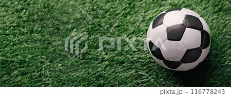 Soccer Ball on Green Grass 116778243