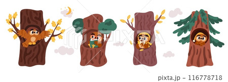 Cartoon owls in homes. Funny forest birds in trees hollows. Animal characters read book or drink tea. Owlets get ready for bed. Woodland birdies. Fir trunks hole. Garish vector set 116778718