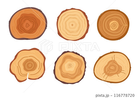 Cartoon tree cuts. Wooden stumps with natural texture top views. Trunk with rings. Lumber industry. Forest wood materials. Round pine. Log timber sawing. Plank split. Garish vector set Cartoon tree cuts. Wooden stumps with natural texture top views. Trunk with rings. Lumber industry. Forest wood materials. Round pine. Log timber sawing. Plank split. Garish vector set 116778720