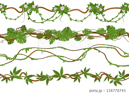 Jungle lianas borders. Cartoon branches and tropical leaves. Rainforest plant foliage. Intertwining creepers. Curly stems. Summer forest moss. Climbing vine. Vector ivy elements set Jungle lianas borders. Cartoon branches and tropical leaves. Rainforest plant foliage. Intertwining creepers. Curly stems. Summer forest moss. Climbing vine. Vector ivy elements set 116778743