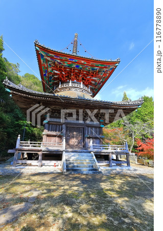 【徳島県】四国霊場「第8番札所」熊谷寺（普明山・真光院）秋の紅葉 116778890
