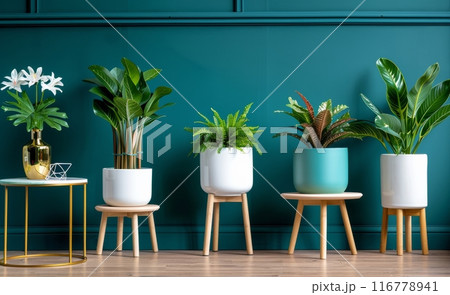Plants on Wooden Shelves Against Teal Wall 116778941