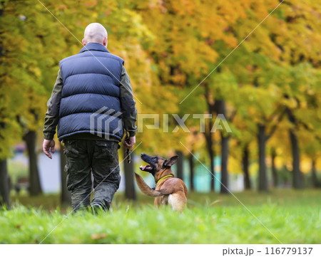 Man walking with a dog in the autumn park. Selective focus. Man walking with a dog in the autumn park. Selective focus. 116779137