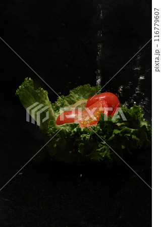 黒背景の野菜サラダと水しぶき 黒背景の野菜サラダと水しぶき 116779607