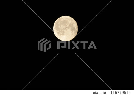 皐月、十六夜の月 116779619