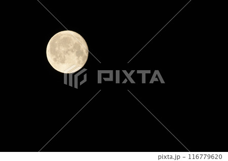 皐月、十六夜の月 皐月、十六夜の月 116779620