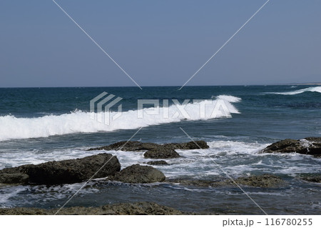 庄内浜の荒波 日本海 116780255