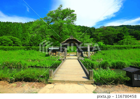【福井県】晴天の一乗谷朝倉氏遺跡（朝倉館跡） 116780458