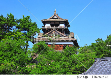 【福井県】快晴の丸岡城（現存12天守） 116780478