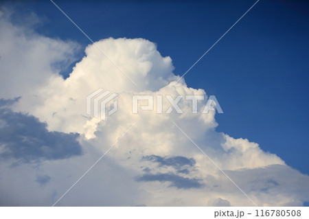 青空と積乱雲 116780508