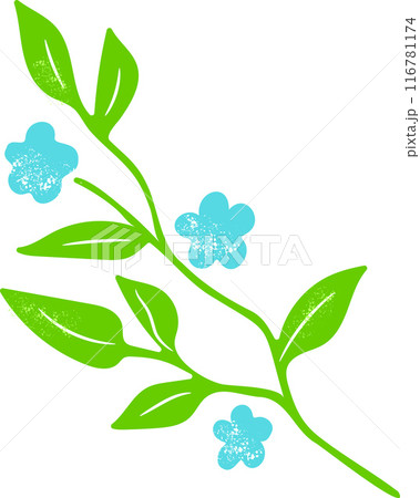 Elegant light-green twig with blue flowers, herb Elegant light-green twig with blue flowers, herb 116781174
