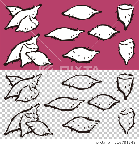 Illustration of "sweet potato" drawn with ink and brush, handwritten, handwritten Illustration of "sweet potato" drawn with ink and brush, handwritten, handwritten 116781548