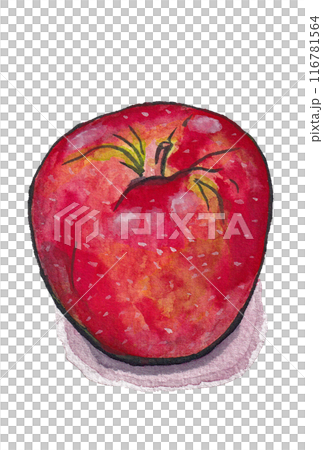 Hand-painted watercolor painting (etegami) "Ripe apple" 116781564