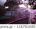 イルミネーションのトンネル 116781680