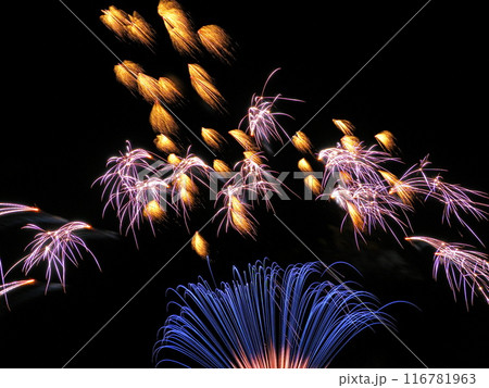 海洋博公園花火大会2024 海洋博公園花火大会2024 116781963