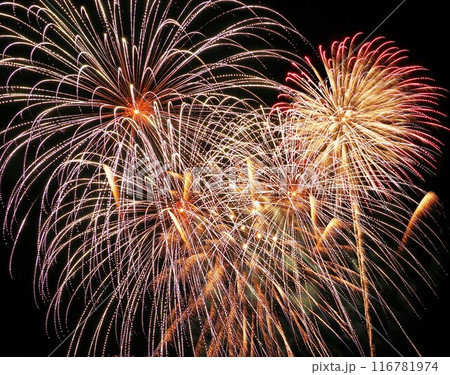 海洋博公園花火大会2024 海洋博公園花火大会2024 116781974
