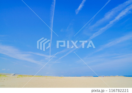 荒浜海岸(仙台市若林区) 荒浜海岸(仙台市若林区) 116782221
