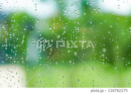 緑の背景に雨滴 緑の背景に雨滴 116782275