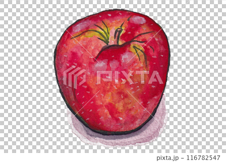 手繪水彩畫（繪信）《熟透的蘋果》側身 116782547