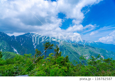 【山岳素材】小遠見山から見る雲海と白馬三山【長野県】 【山岳素材】小遠見山から見る雲海と白馬三山【長野県】 116782587