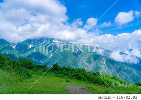 【山岳素材】小遠見山から見る雲海と白馬三山【長野県】 【山岳素材】小遠見山から見る雲海と白馬三山【長野県】 116782592