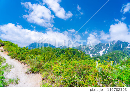 【山岳素材】小遠見山から見る雲海と白馬三山【長野県】 116782598
