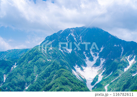 【山岳素材】小遠見山から見る雲海と白馬三山【長野県】 【山岳素材】小遠見山から見る雲海と白馬三山【長野県】 116782611
