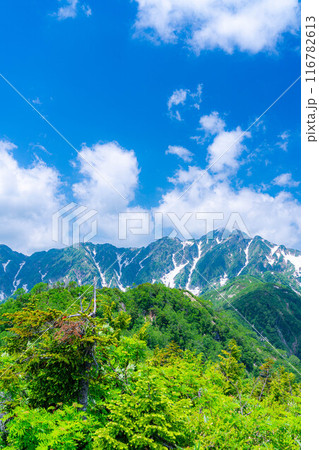 【山岳素材】小遠見山から見る雲海と白馬三山【長野県】 116782613