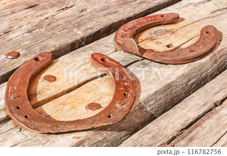 Two old vintage and rusty horseshoes are nailed to a dried and cracked piece of wood. 116782756