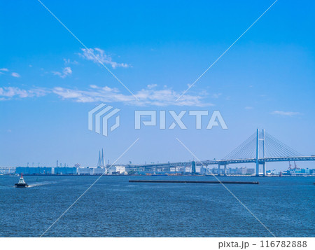 横浜港と横浜ベイブリッジ 横浜港と横浜ベイブリッジ 116782888