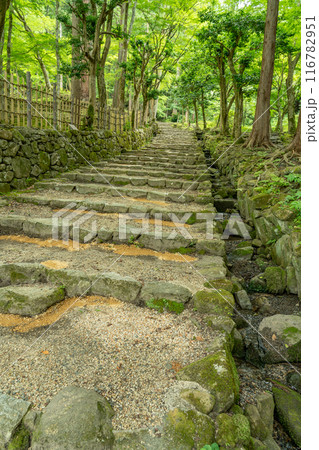 滋賀県東近江市 新緑の百済寺本坊から本堂への石段 滋賀県東近江市 新緑の百済寺本坊から本堂への石段 116782951