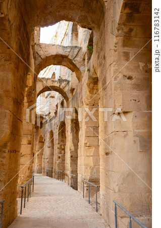 Amphitheater of El Jem in Djem, Tunisia 116783142