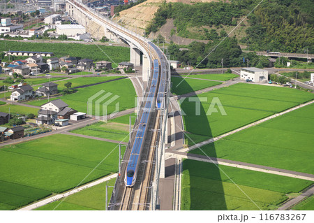 青田行く北陸新幹線 116783267