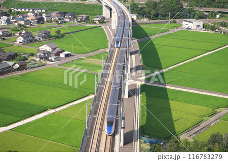 青田行く北陸新幹線 116783279