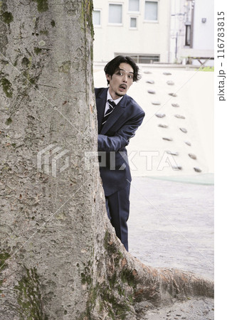 木の影からこっそり覗く男性 116783815