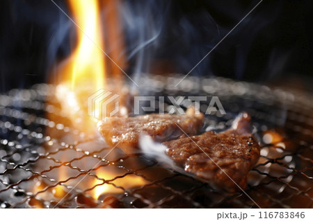 キャンプで焼肉 キャンプで焼肉 116783846