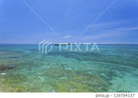 沖縄　海岸 116784137