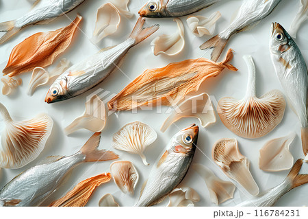 小魚の干物とキクラゲ 116784231