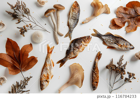 小魚の干物とキクラゲ 小魚の干物とキクラゲ 116784233