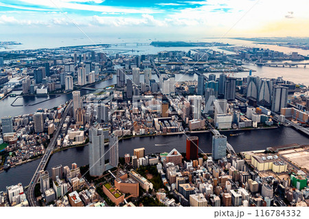Aerial view of Odaiba Harbor in Tokyo, Japan 116784332