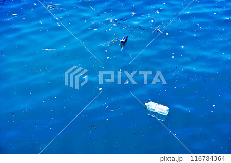 海面に浮かぶ海洋ゴミ 116784364