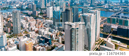 Aerial view of Odaiba Harbor in Tokyo, Japan Aerial view of Odaiba Harbor in Tokyo, Japan 116784365