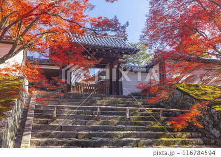 秋の京都 曼殊院 紅葉に包まれた勅使門 秋の京都 曼殊院 紅葉に包まれた勅使門 116784594